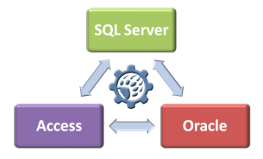 Predator Conversion Services